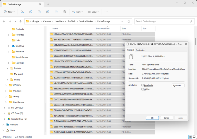 Before Clear Cache storage that store in service worker