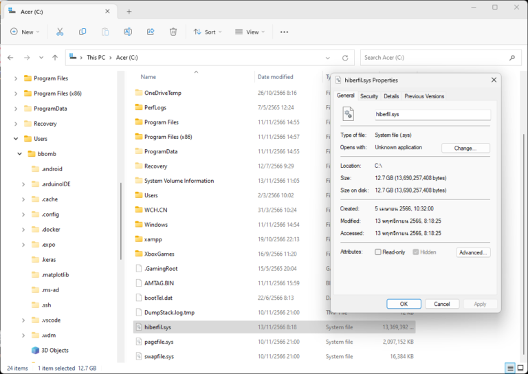 Detect large Hibernation file system